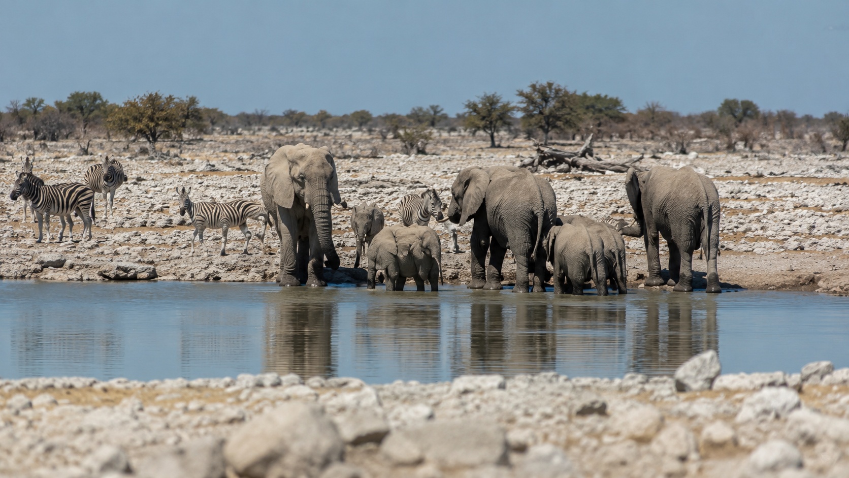 Etosha