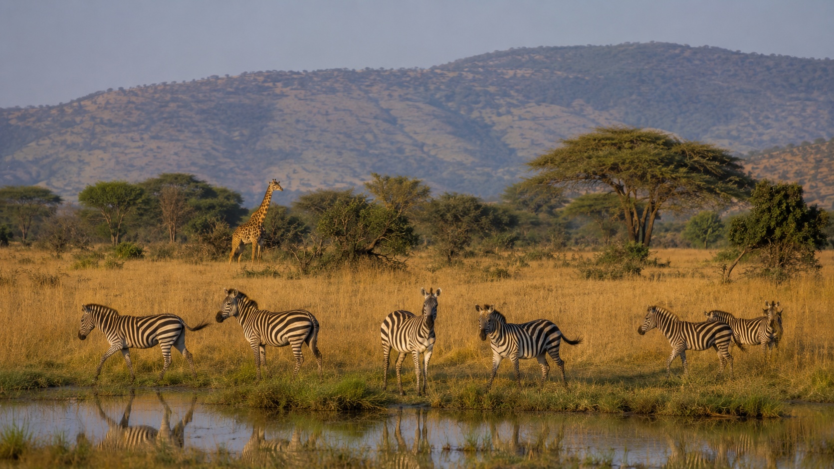 Akagera National Park