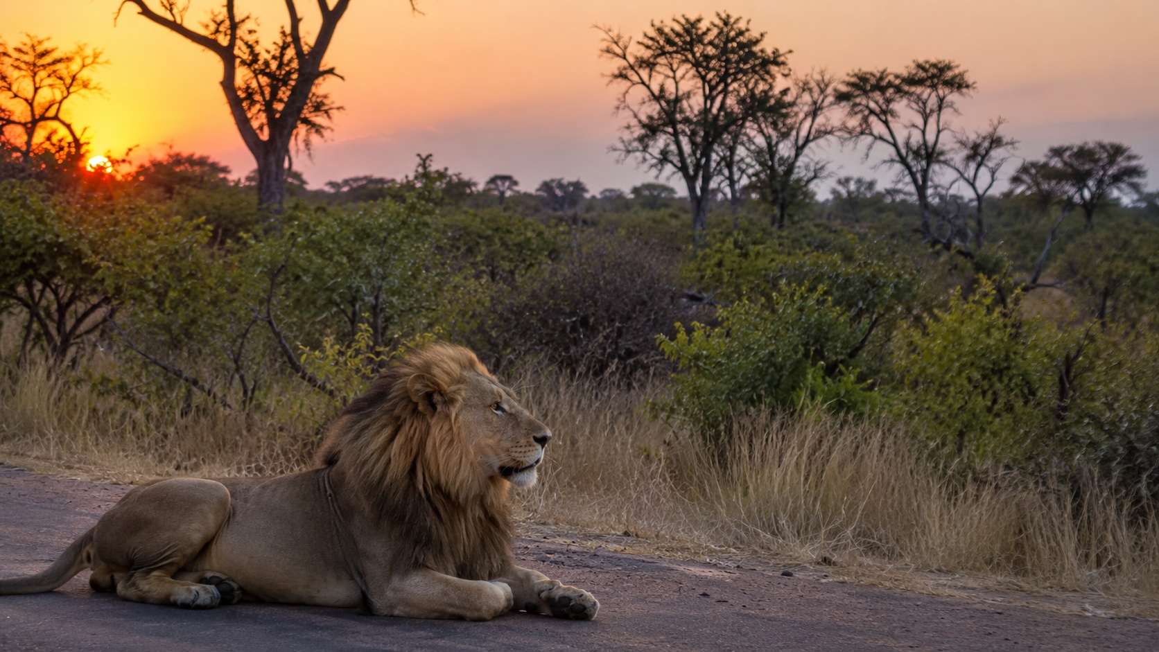 Kruger National Park