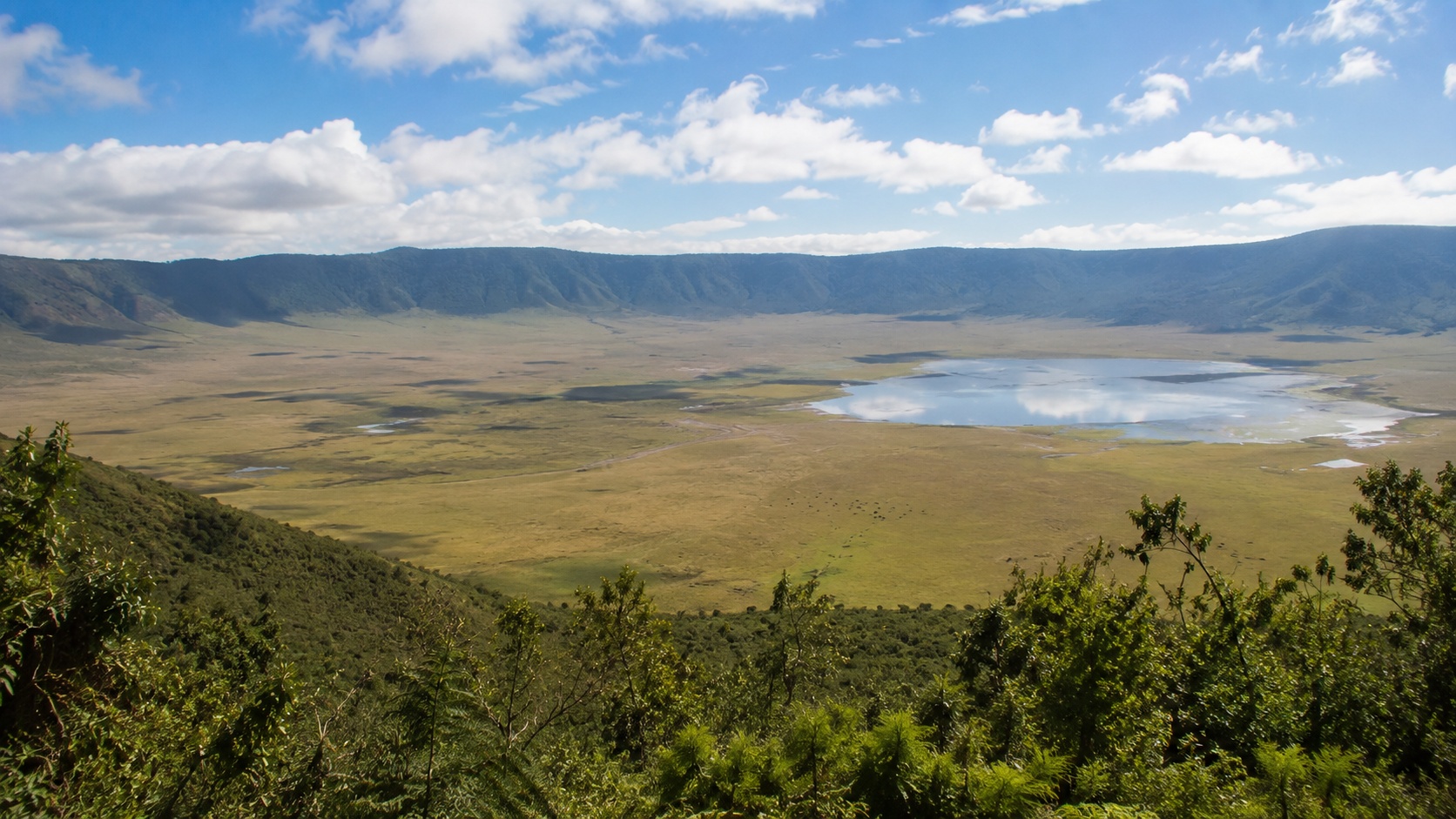 Ngorongoro