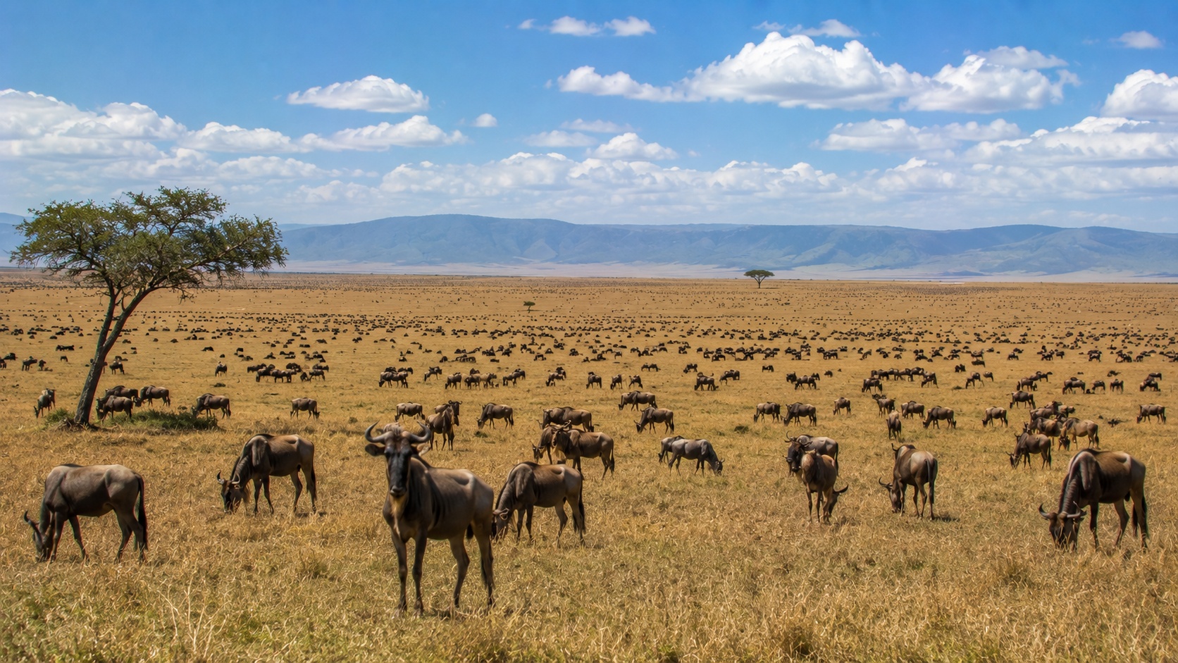 Serengeti National Park