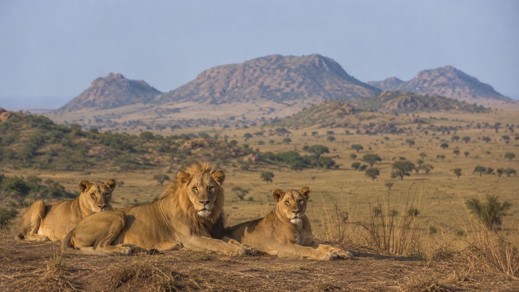 Kidepo Valley National Park