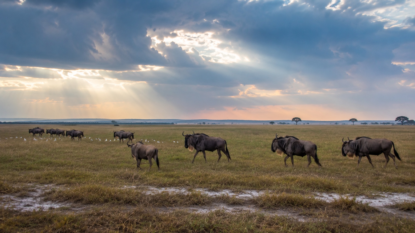 Liuwa Plain National Park
