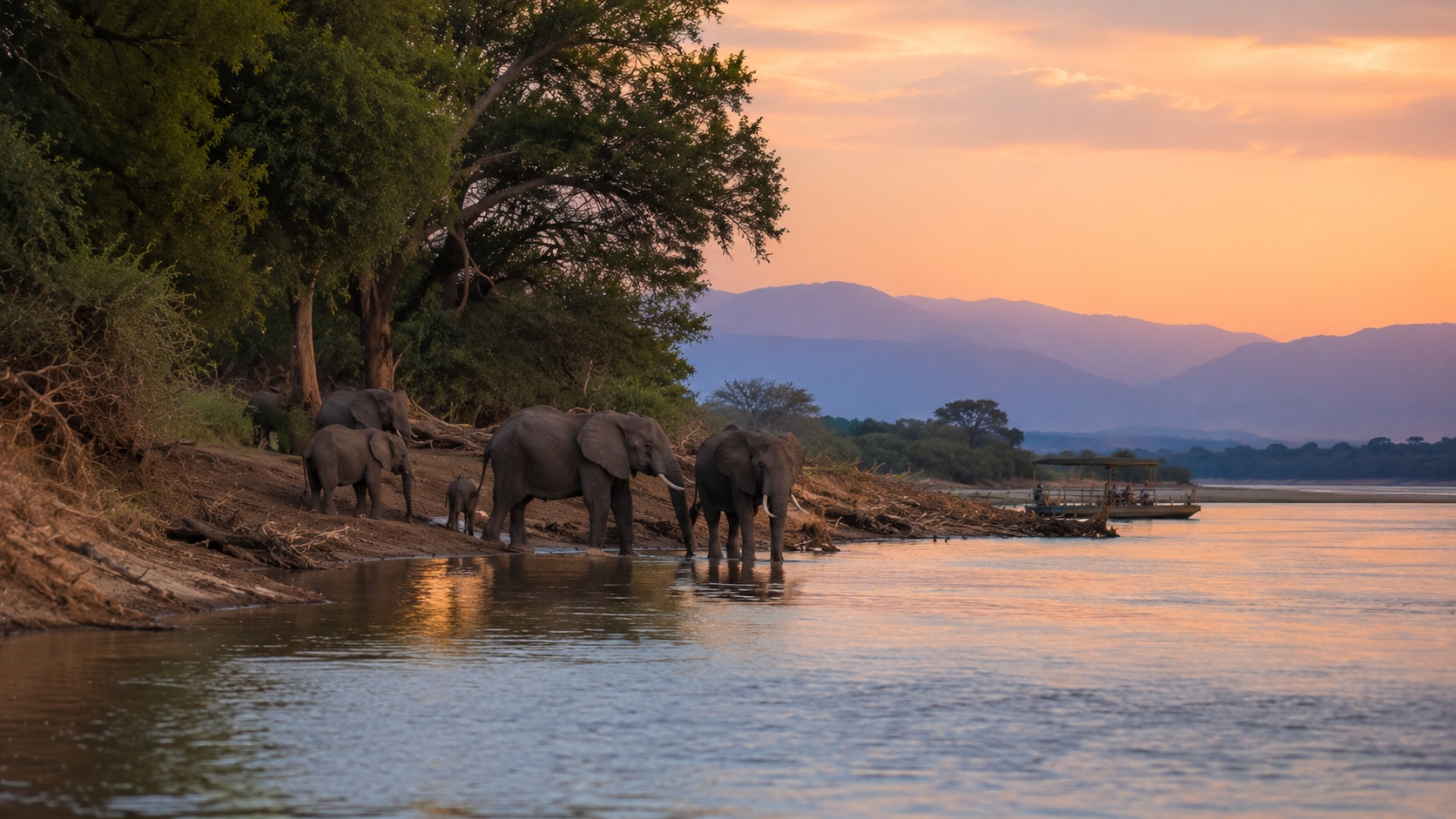Lower Zambezi National Park