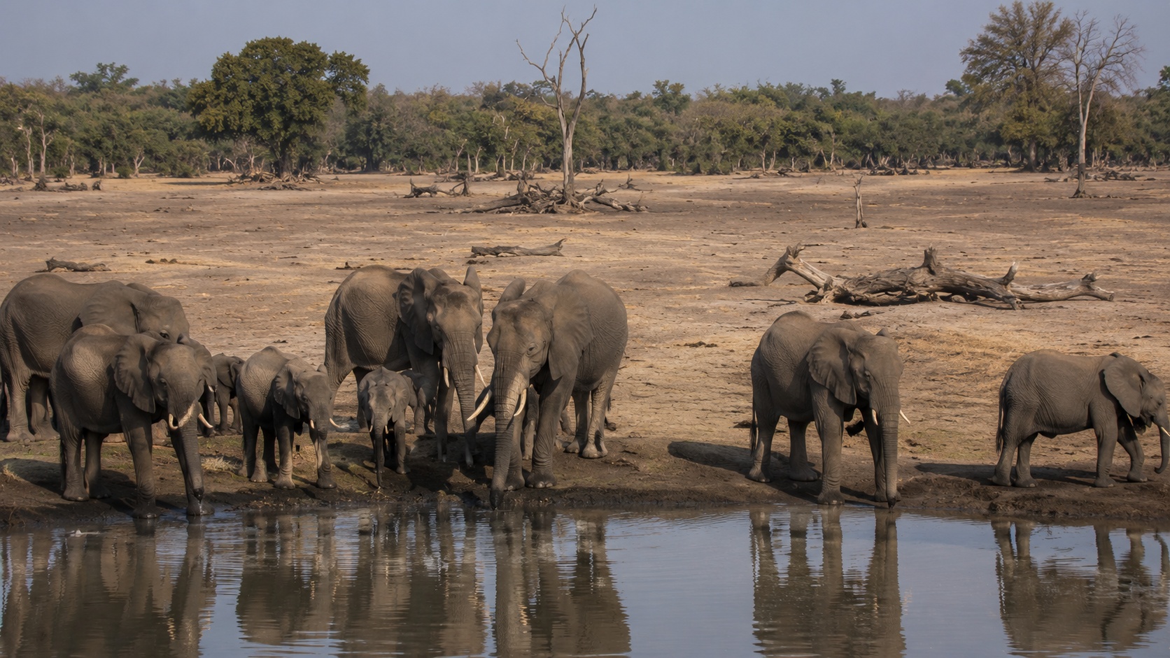 Hwange National Park