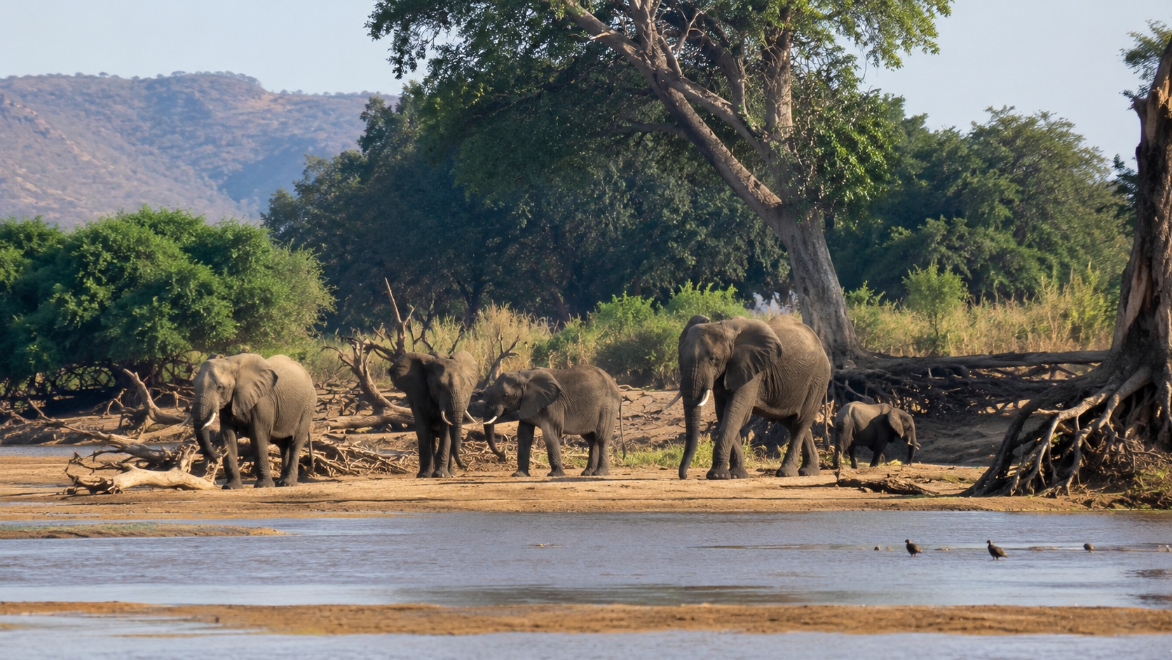 Mana Pools